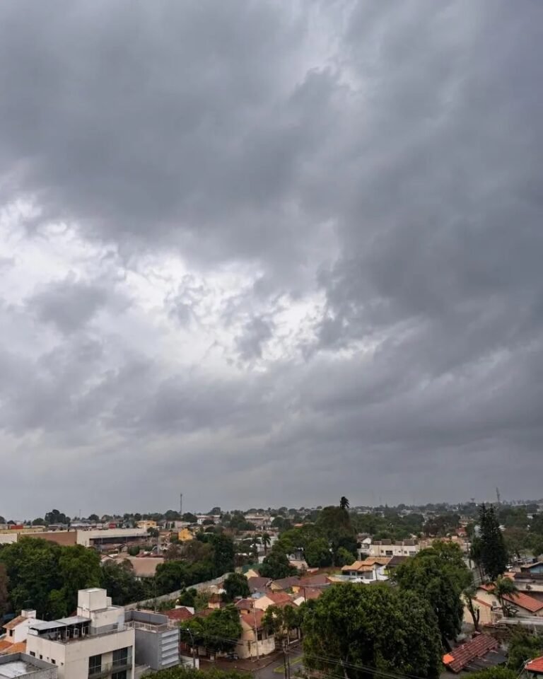 Temporal derruba árvores em Dourados e coloca 54 cidades de MS em alerta laranja